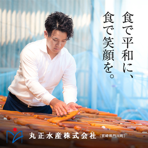 ＜訳あり＞宮崎からすみ寒(100g)＜からすみパウダー40g付＞ カラスミ 魚卵  簡易包装 【AW-41】【丸正水産】
