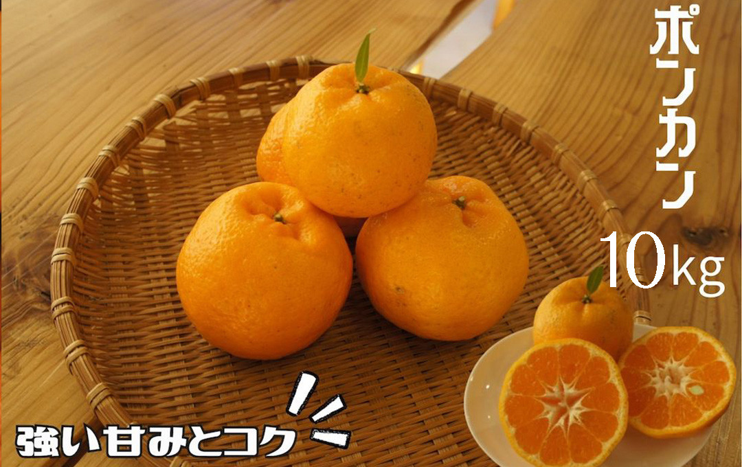 
                  【先行予約＿2026年出荷分】湯の花　ポンカン10kg箱セット　【 10Kg ポンカン みかん 果物 フルーツ 旬 柑橘 甘い 新鮮 】　<BC-31>
                