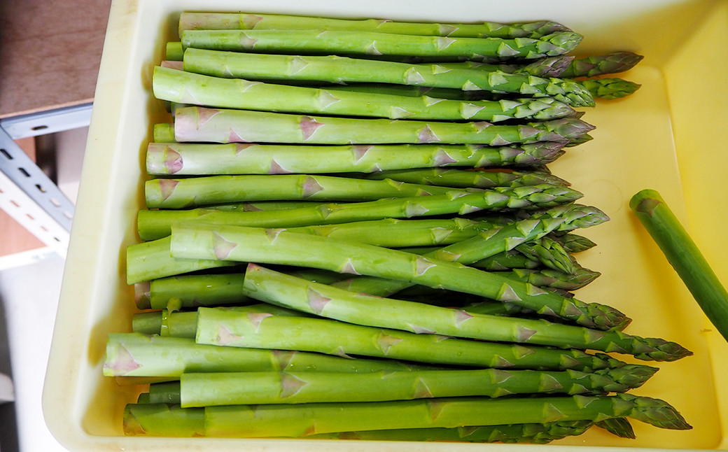 春季限定 春芽 アスパラガス  直方産 アスパラ 2L・L 約1kg
