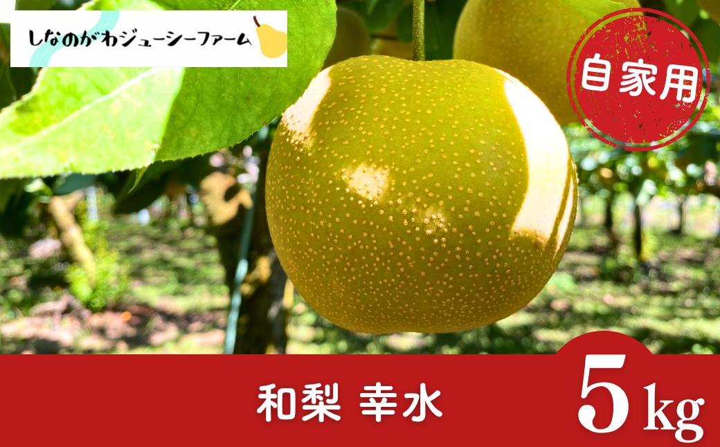 
                  和梨 幸水 自家用 約5kg 令和8年度 新潟県 三条市産 梨 訳あり [しなのがわジューシーファーム]【010S478】
                