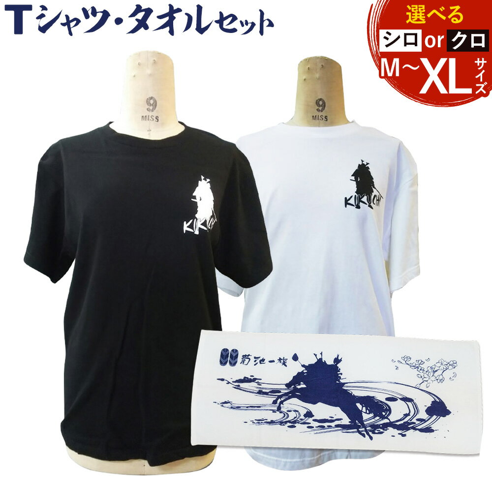 【ふるさと納税】菊池武光公 Tシャツ・タオルセット 選べる 2色 選べる 3サイズ M/L/XL 株式会社アイエヌ《90日以内に出荷予定(土日祝除く)》熊本県 菊池市 Tシャツ シャツ 半袖 ファッション タオル 菊池一族