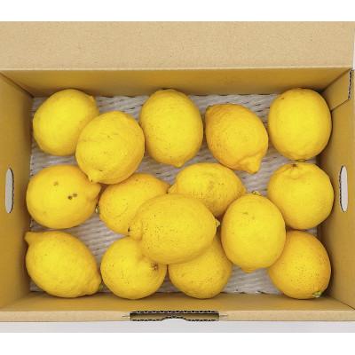 ふるさと納税 松山市 中島産　レモン　1.5kg |  | 02