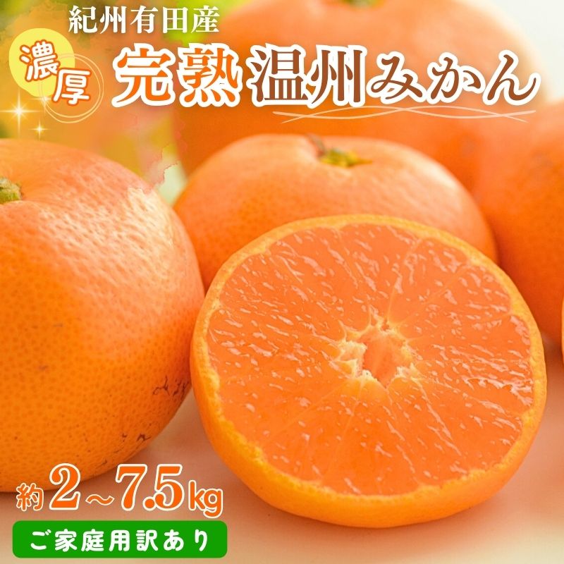 【ふるさと納税】 【訳あり・ご家庭用】紀州有田産 濃厚完熟 温州みかん 約2kg 約5kg 約7.5kg 【2026年11月下旬頃〜2027年1月下旬頃に順次発送予定】【先行予約】 | フルーツ 果物 くだもの 食品 人気 おすすめ 送料無料 産地直送
