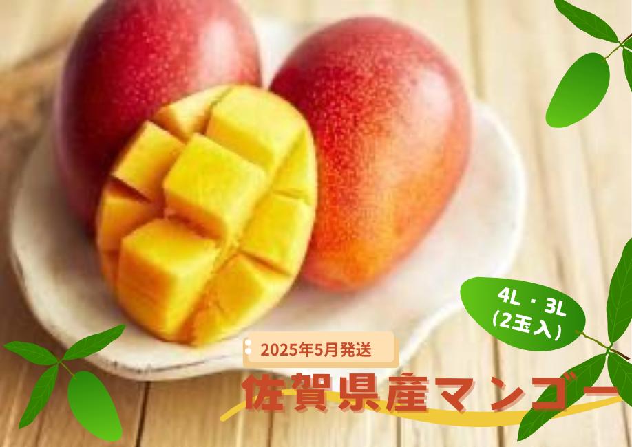
            【先行予約】佐賀県産マンゴー約1kg 4L・3L (2玉入)
          