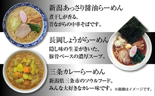 新潟5大ラーメン あっさり醤油 燕三条背脂 長岡しょうが 濃厚味噌 三条カレーらーめん 計10食 替え玉 詰め合わせ しょうゆ みそ 備蓄 ご当地 お取り寄せ ギフト 松代そば善屋 新潟県 十日町市