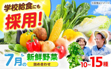 高槻野菜おまかせ詰め合わせセット 7月（10種〜15種）[AOCS013] 野菜セット 野菜セット 野菜セット 野菜セット 野菜セット 野菜セット 野菜セット