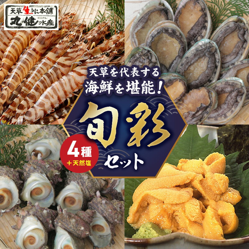 【ふるさと納税】【着日指定】 海鮮 セット 活き 車海老 車えび 海老 エビ あわび サザエ 殻出し 生うに 天然塩 生きたまま 新鮮 魚介類 海の幸 あわび サザエ うに ウニ 冷蔵 配送 熊本 天草 お取り寄せ グルメ BBQ バーベキュー 送料無料