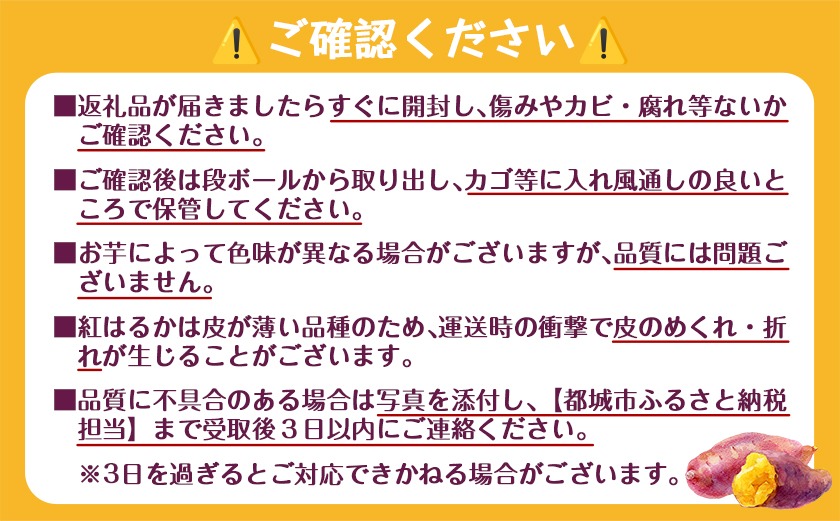 【熟成芋】芋名人が認めるさつまいも『洗い済み　紅はるか』2Lサイズ ※12月～1月頃順次発送_LE-L703-J