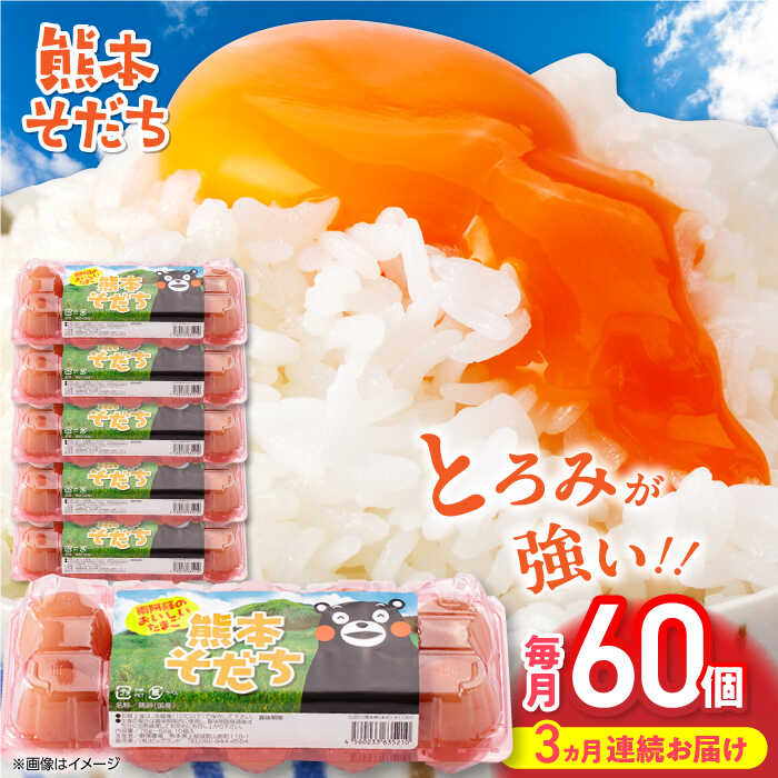 【ふるさと納税】【全3回定期便】熊本そだち 60個入り ( 10個入り × 6パック ) 熊本県産 山都町 たまご 卵 玉子 タマゴ 鶏卵 オムレツ 卵かけご飯 朝食 料理 人気 卵焼き【蘇陽農場】[YBE034]