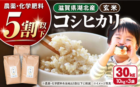 【令和7年産新米】減農薬米 近江米 湖北のコシヒカリ 玄米30kg[AQAK007] 玄米 
