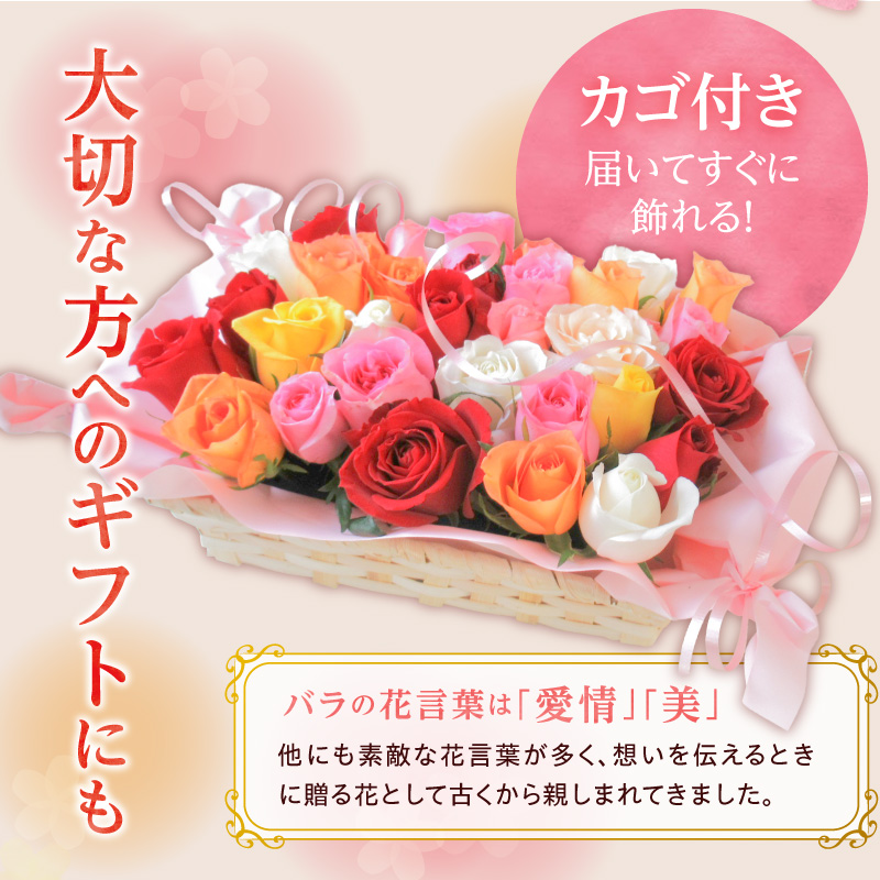 〈日付指定も可能〉 観賞はもちろん！バラ風呂やフラワーシャワーに！ ローズインにゅーよーくミックス３０輪 バラ３０輪詰め合わせ 風呂 薔薇 ローズ ギフト プレゼント ラッピング インテリア お花 フ
