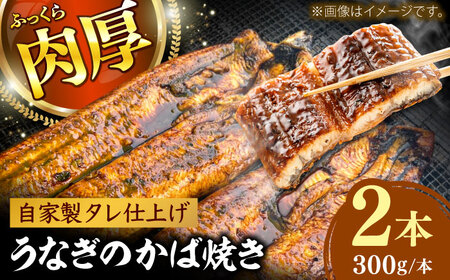 魚 鰻のかば焼き 2本 [AIEH005]うなぎ