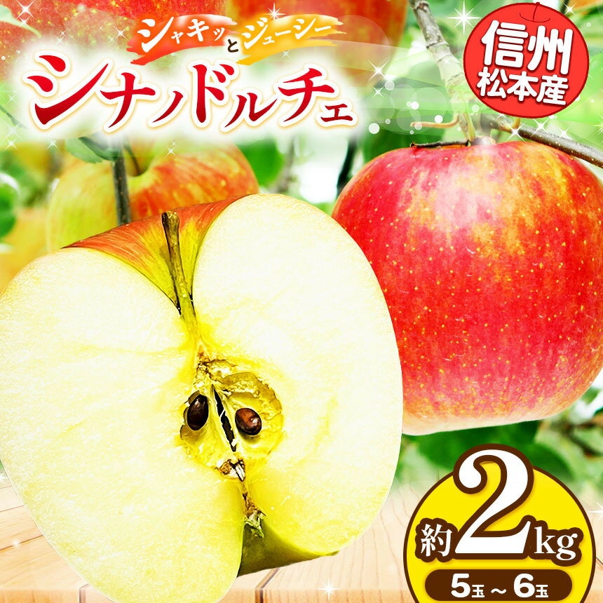 【ふるさと納税】【先行受付：2026年発送】信州松本産　シナノドルチェ　5～6玉約2kg │ 林檎 りんご リンゴ シナノドルチェ 果汁 果物 貴重 くだもの フルーツ 自然 旬 ご褒美 長野県 信州 松本 ふるさと納税