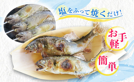 【先行予約】塩焼用 活〆冷凍あゆ 約1kg（9尾～13尾）| 鮎※北海道・沖縄・離島への配送不可 ※2026年7月上旬～9月中旬頃に順次発送予定