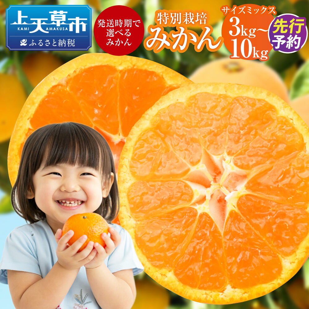【ふるさと納税】【配送時期が選べる】【先行受付】特別栽培みかん 3kg / 5kg / 7kg / 10kg サイズミックス 極早生 早生 熊本県産 果物 フルーツ 蜜柑 柑橘 送料無料 【2026年9月下旬から2027年1月下旬発送開始】