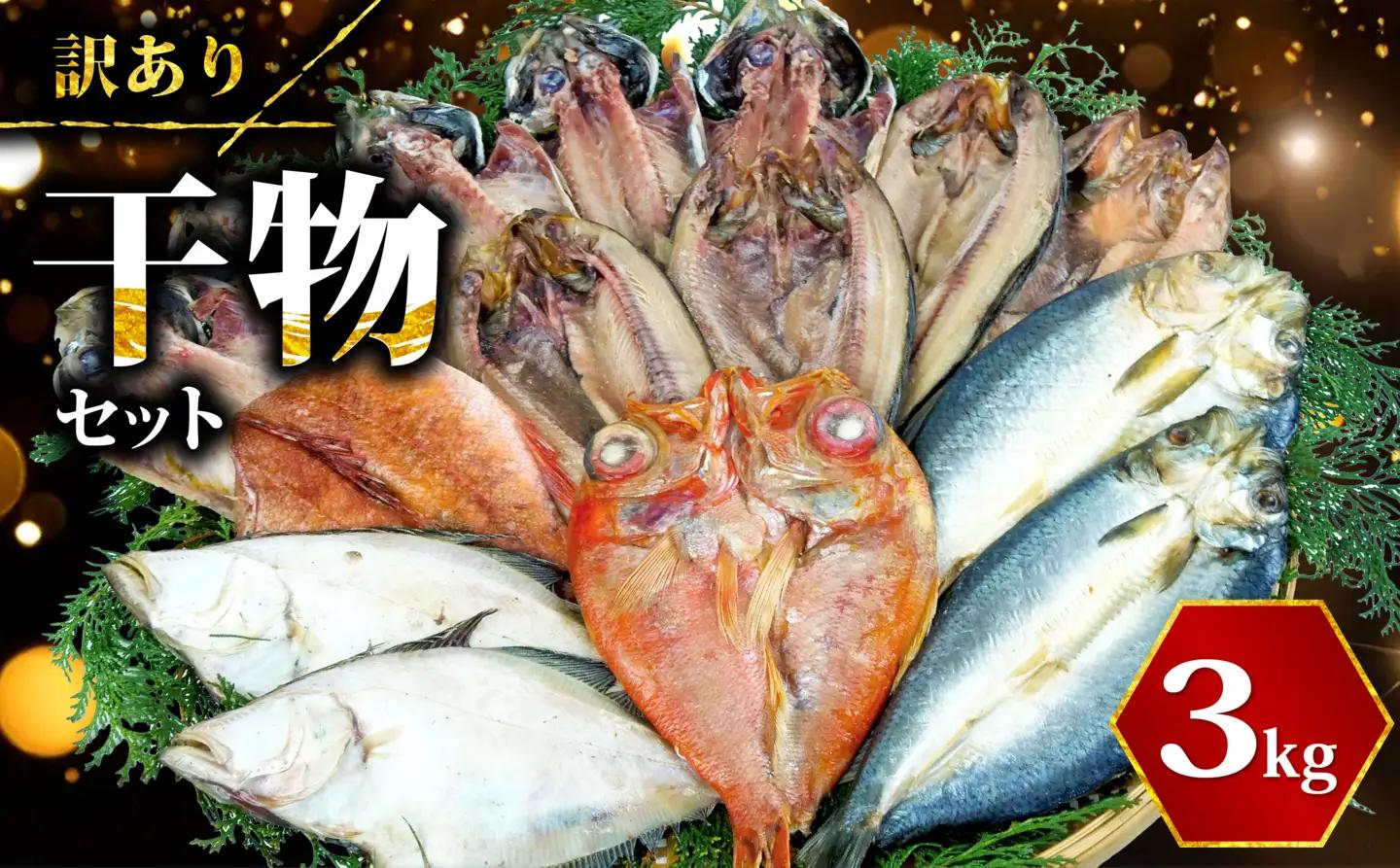 【2026年5月発送】 訳あり干物 約3kg 干物
