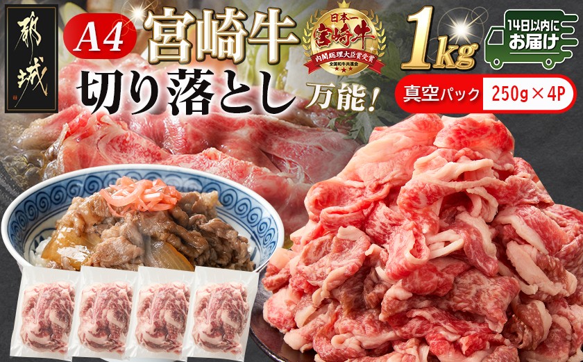 
                  宮崎牛切り落とし1kg(真空)≪みやこんじょ快速便≫_MJ-89-006-1000g-s-R_(都城市) 宮崎県産 宮崎牛 牛肉 A4ランク 切り落とし 切落し 250g × 4パック 真空 小分け 1kg 牛丼 炒め物 便利 14日以内お届け
                