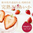 【ふるさと納税】【先行予約】【数量限定】完熟とちあいか　約600g【栃木県共通返礼品/真岡市産】(DM001)