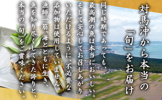 旬魚のひと塩切身 1枚70g〜90g 全8枚でお届けします ぶり90g×2切 さば90g×2切 真鯛70g×2切 さわら90g×1切 かんぱち90g×1切 おかず ギフト 海鮮