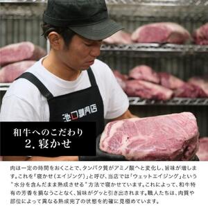 (0924新規)池口精肉店の人気3種セット(ミンチカツ5個、コロッケ5個、ハンバーグ2個)【詰合せ セット おかず おつまみ ごはんのお供 広島県 福山市】