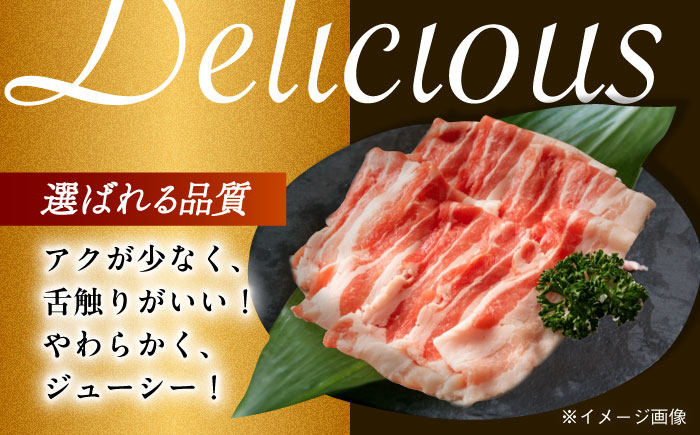 肉 豚 ぶた ブタ ロース バラ 豚バラ しゃぶしゃぶ 食べ比べ 西海市 長崎 九州 定期便