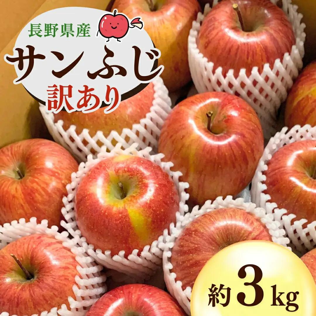 【2026年先行予約】千曲市産 サンふじ りんご 約3kg  訳あり 家庭用 | りんご