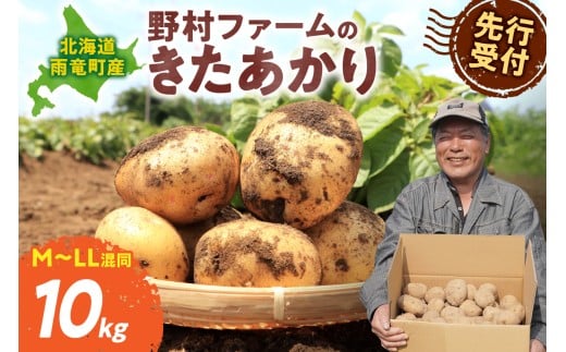 【先行予約】北海道産 じゃがいも きたあかり 10kg 別名「栗じゃが」 甘くておいしい ジャガイモ 芋 いも 秋野菜 季節の野菜 直送農場 北海道雨竜町産 サイズ混同 野菜