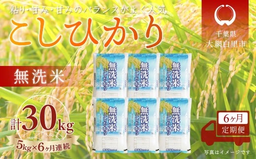 ＜6か月定期便＞ 千葉県産「コシヒカリ」無洗米 5kg×6か月連続 計30kg