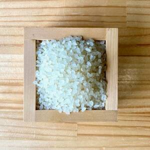 【美味しい水が育んだお米!】諸塚村産ヒノヒカリ精米5kg×4袋入【1688679】