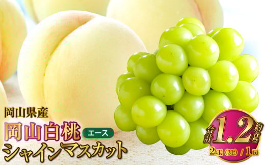 岡山県産 岡山白桃 エース 3Lサイズ 約300g×2玉・シャインマスカット 晴王 約600g×1房 詰合せ 【2025年7月上旬～8月下旬発送予定】 白桃 桃 もも モモ マスカット ぶどう 葡萄 ブドウ セット