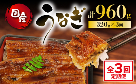 国産 160g 蒲焼 うなぎ 2尾 定期便 鰻 