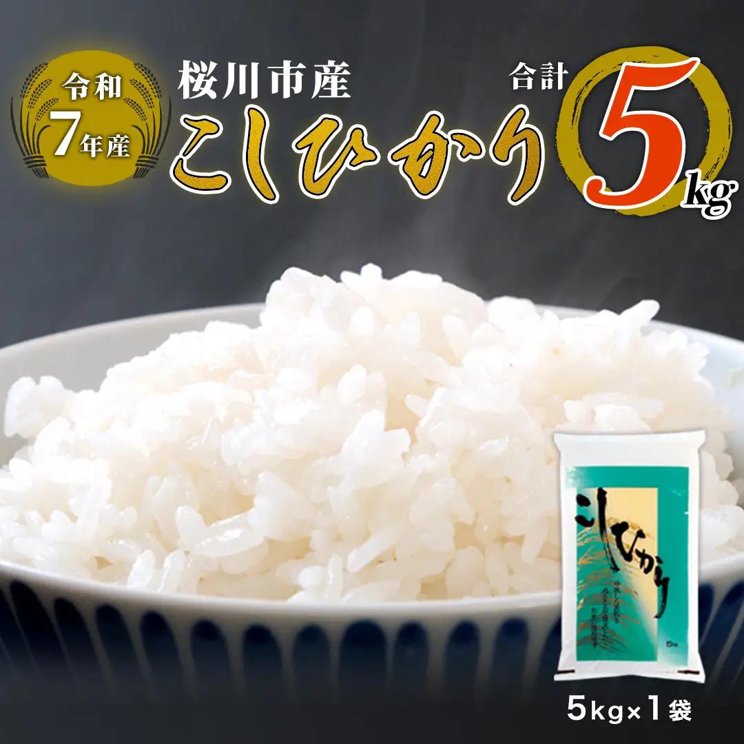 【 令和7年産 】 数量限定 桜川市産こしひかり 5kg（5kg×1袋） [AX018sa]