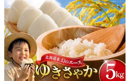米 ゆきさやか 5キロ [笹田ファーム 北海道 剣淵町 14656370] 令和7年産 お米 精米 白米 こめ ご飯 ごはん