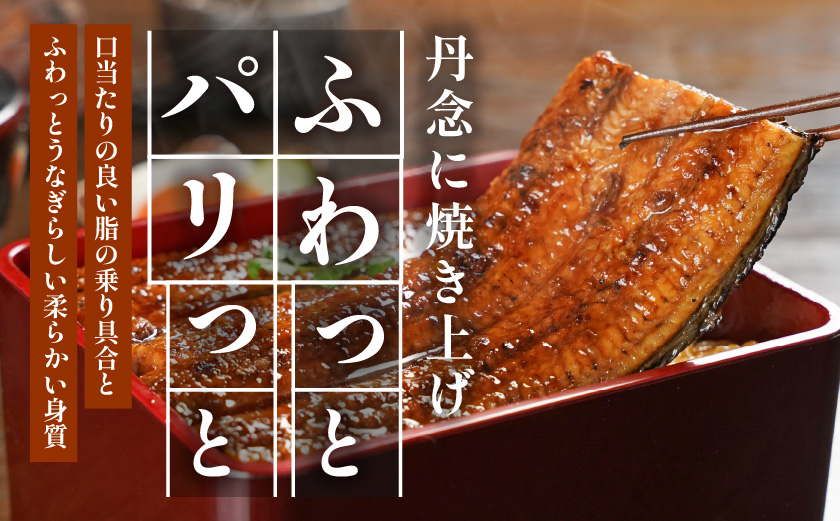 【丑の日】宮崎県育ちの【特大】うなぎ蒲焼1尾210g以上≪山椒・たれ付≫≪7月20日～25日お届け≫_11-M301-UG