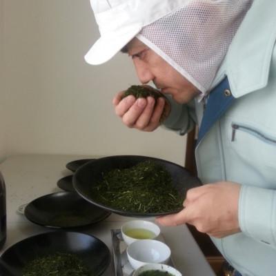 ふるさと納税 静岡市 【茶娘の深むし茶】静岡市産深むし茶100g『10+1本』合計1.1kg |  | 02