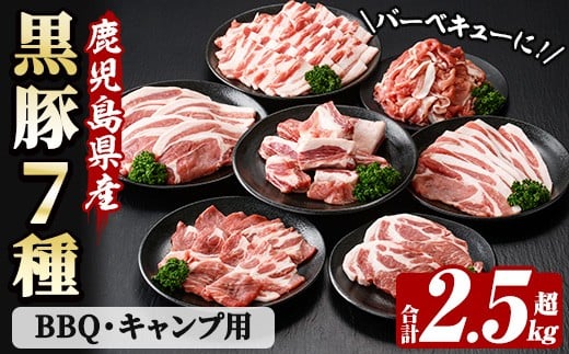 
            恵味の黒豚 BBQ・キャンプ用セット(7種・合計2.5kg超！)  冷凍 小分け 国産 鹿児島県産 黒豚 BBQ や キャンプ に ピッタリな7種セット！大容量！【B-368H】
          