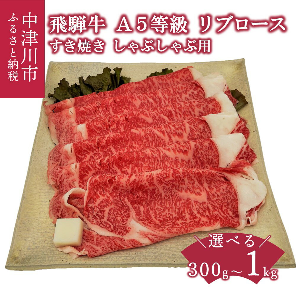 【ふるさと納税】【数量限定 チルド 冷蔵 発送】飛騨牛 A5 等級 リブロース すき焼き しゃぶしゃぶ 量が選べる ( 300g 500g 1kg ) 薄切り 牛肉 和牛 国産 お取り寄せグルメ 送料無料 F4N-1229var