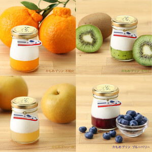 シュシュの種々様々な11種のプリン12個セット