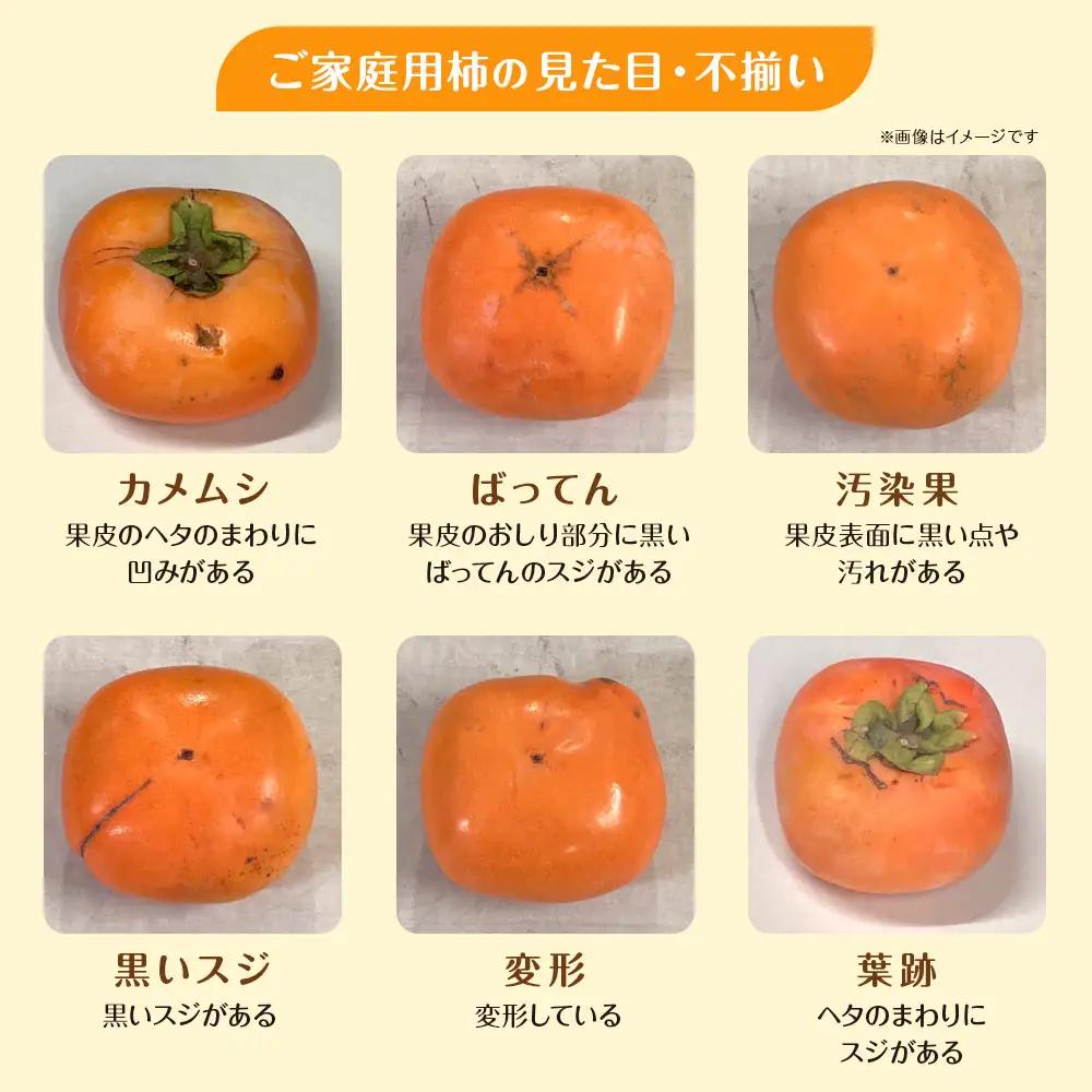 ［2026年11月上旬以降発送］◆先行予約◆和歌山県産 富有柿＜ご家庭用＞約7.5kg 満杯詰め［MG2］