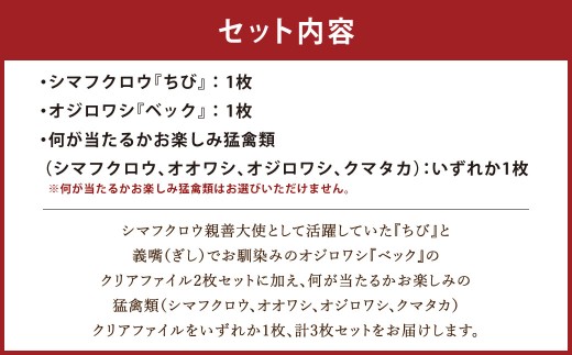 【 7日程度で発送 】 猛禽類医学研究所オリジナルクリアファイル 3種セット クリアファイル ファイル 文房具 猛禽類 野生動物 動物 野生 シマフクロウ オジロワシ フクロウ ワシ 雑貨