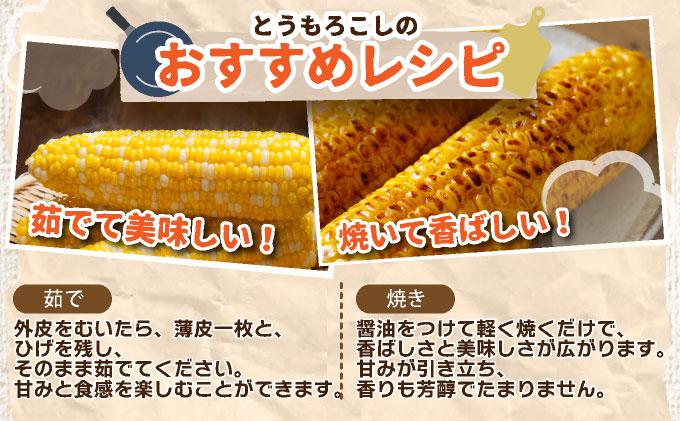 ＜先行予約＞北海道産 とうもろこし 恵味 Lサイズ 10本【55250484】トウモロコシ とうきび コーン スイートコーン 国産 野菜 人気 ふじいファーム