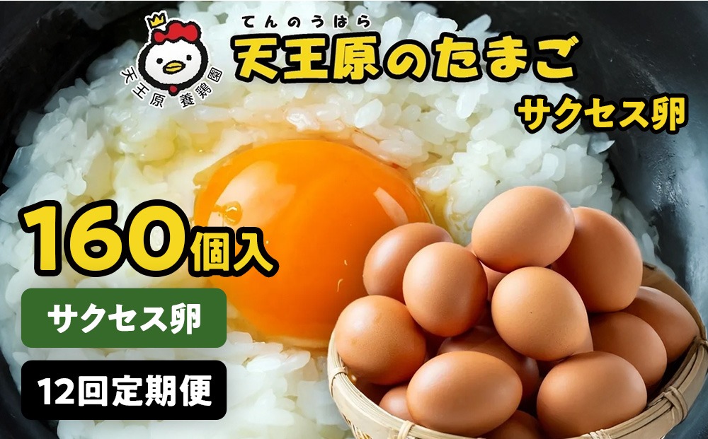 【定期便】12回定期 【天王原のたまご】 サクセス卵160個入り