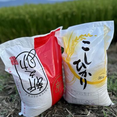 ふるさと納税 五泉市 【令和7年産米】新潟県産コシヒカリ5kg+新之助5kg(計10kg) 食べ比べセット