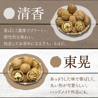 ふるさと納税 東御市 2026年産 長野県東御市産 殻付き信濃くるみ700g(品種 清香 350g,品種 東晃 350g) |  | 01