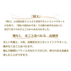 ぶどう 2026年   シャイン マスカット 晴王 約600g×2房 ブドウ 葡萄  岡山県産 国産 フルーツ 果物 ギフト