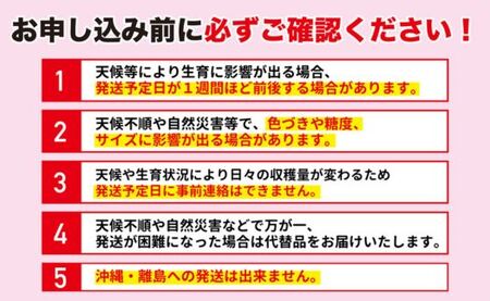 No.2945 まるせい果樹園　ご家庭用6回定期便【2026年発送】