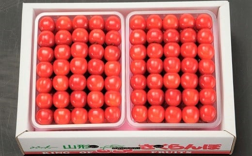 さくらんぼ（佐藤錦か紅秀峰）５００ｇ×２パック　手詰め　0020-2610