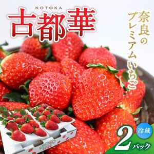 (冷蔵)大粒 古都華 イチゴ 2パック / 寺田農園 希少 プレミアム 高糖度 酸味 バランスの良い 苺 奈良県 葛城市【trdf001】