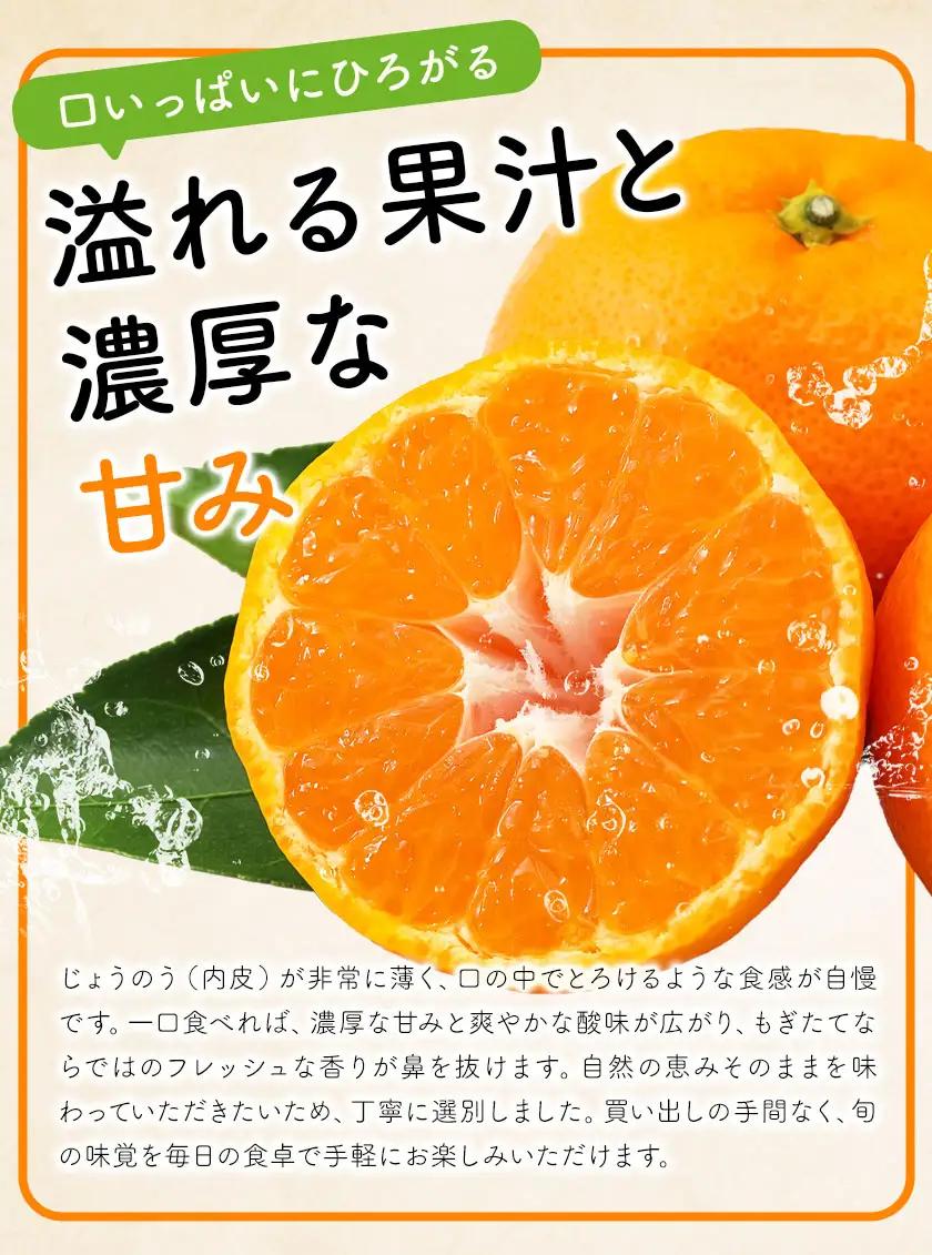 みかん5kg 高橋商店《10月下旬-1月中旬頃出荷》