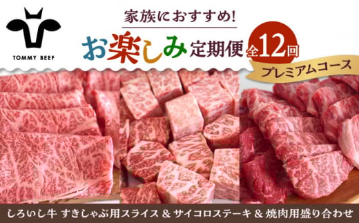 【牧場直送】【12回定期便】しろいし牛 家族向け お楽しみ 定期便（プレミアムコース）【佐賀セントラル牧場】佐賀県産 牛肉 お肉 肉 ハンバーグ 切り落とし 炒め物 贅沢 九州 佐賀県 白石町 [IAH214]
